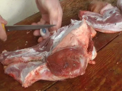 Schwein 3D video