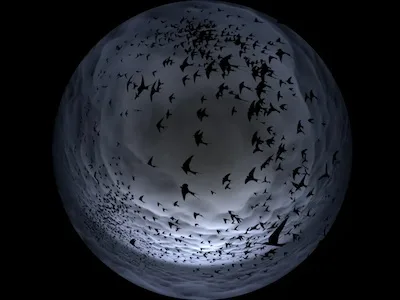 Join the Hive interactive dome projection